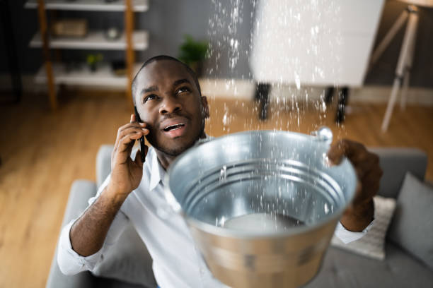 Best Water damage restoration near me  in Auxvasse, MO