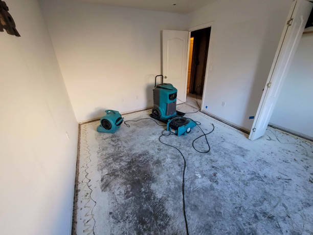 Best Water damage repair service  in Auxvasse, MO