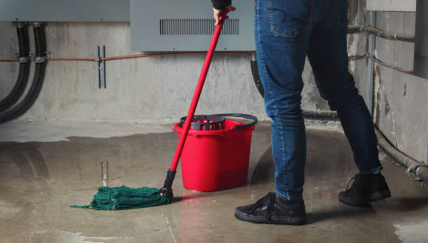 Best 24/7 water damage repair  in Auxvasse, MO