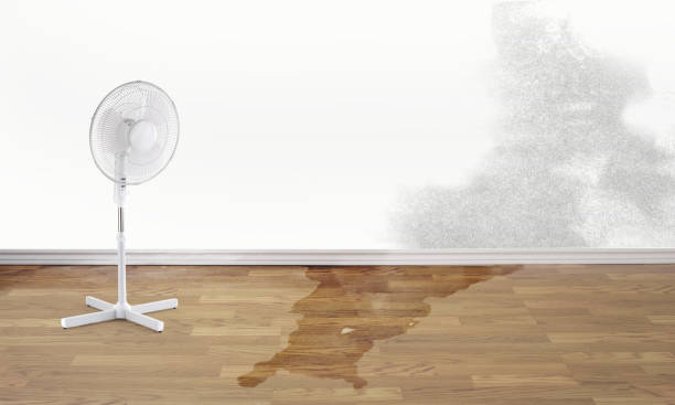  Auxvasse, MO Water damage restoration Pros