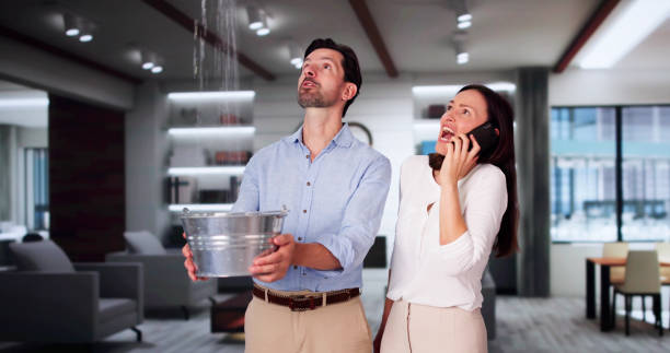 Best Water damage restoration cost  in Auxvasse, MO