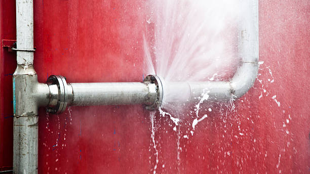Best Sewage cleanup and water damage restoration  in Auxvasse, MO